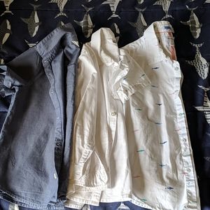 Three button down shirts (boys)